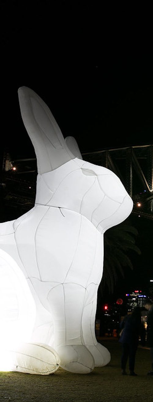 Intrude - Amanda Parer (Staand)